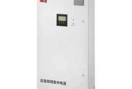 壁挂式DC216V应急照明集中电源-NST集电集控