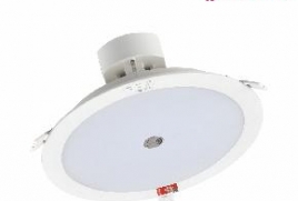 简约现代一体化应急筒灯